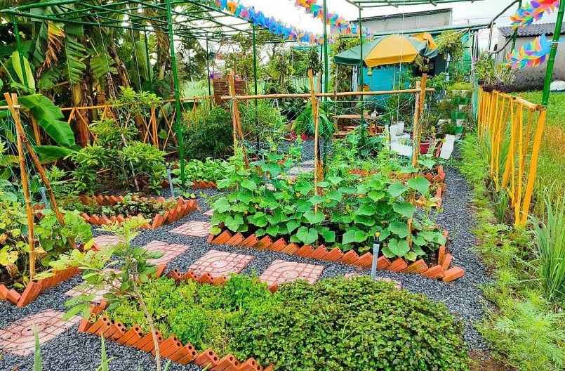 đã biến thành một khu vườn đẹp mê li.