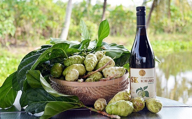 Sản phẩm nước cốt nhàu đã được xuất khẩu. Sản phẩm nước cốt nhàu đã được xuất khẩu.