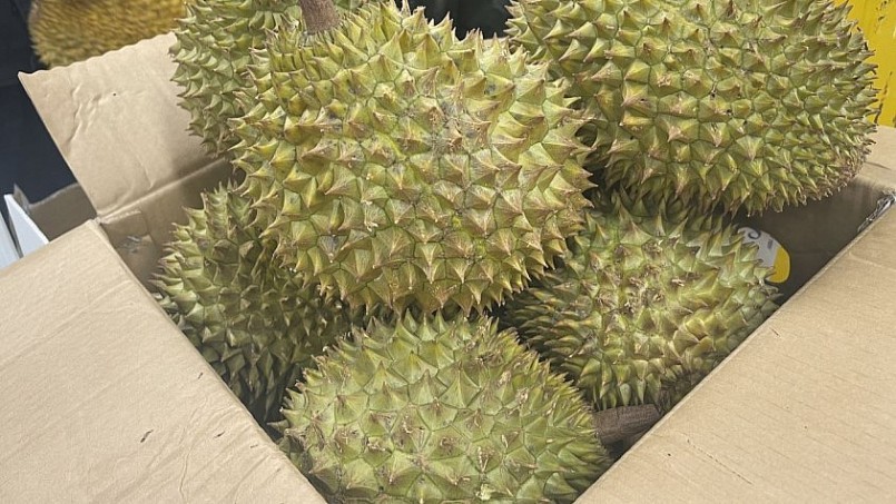 Sầu riêng là một trong những nông sản bị Hải quan Trung Quốc thông báo vi phạm kiểm dịch thực vật.