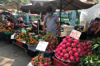 Mít ruột đỏ, thanh long giá rẻ bất ngờ