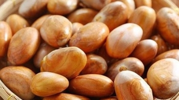 Hạt nào cũng có thể vứt nhưng tuyệt đối đừng vứt hạt mít