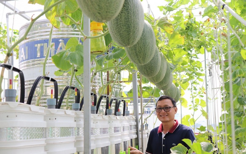 Những thùng bán thuỷ canh trồng dưa lưới đều do ông Hồng tự chế đã mang lại hiệu quả đáng kể.