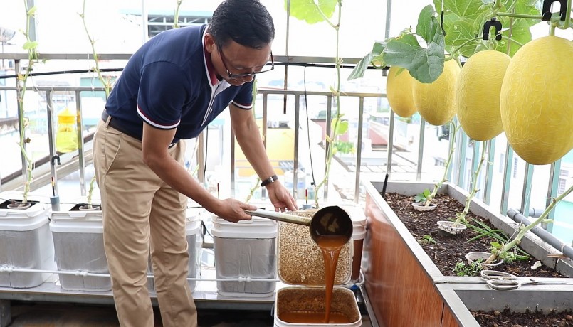 Ông Hồng còn trộn trứng, sữa, mật đường và nhiều chất dinh dưỡng khác để ủ men vi sinh, tưới cho dưa lưới.