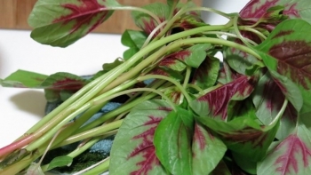 6 loại rau giúp giải nhiệt ngày hè, giá chỉ bằng cốc trà đá