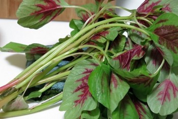 6 loại rau giúp giải nhiệt ngày hè, giá chỉ bằng cốc trà đá