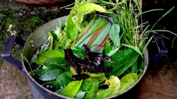 Tắm lá bưởi mang lại lợi ích đáng kinh ngạc cho làn da