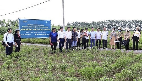 Các đại biểu tham quan mô hình nông nghiệp tuần hoàn tiêu biểu ”Nuôi bò - trồng cây dược liệu, cây ăn quả” tại hộ gia đình anh Đặng Xuân Nam.