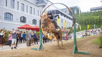 Trình diễn phi ngựa vượt chướng ngại vật, xuyên vòng lửa ở Fansipan