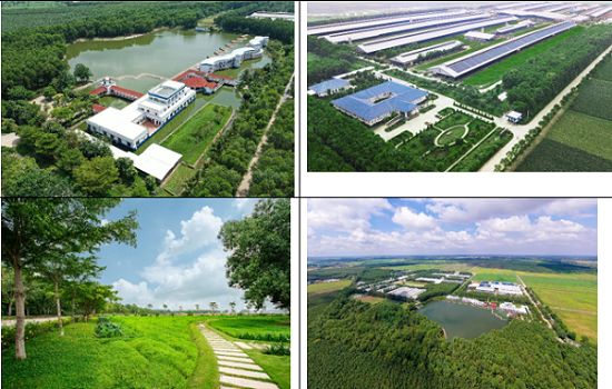 Cây xanh là hàng rào sinh học tự nhiên giúp hạn chế các tác động đến hệ sinh thái và góp phần điều hòa khí hậu chung cho cả khu vực lân cận.