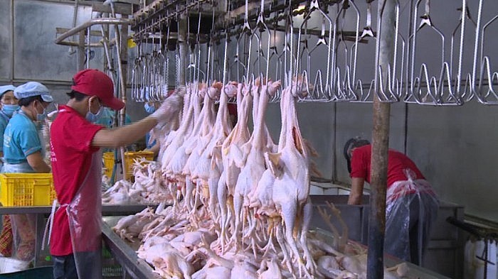 bảo đảm an toàn thực phẩm có nguồn gốc động vật bảo đảm an toàn thực phẩm có nguồn gốc động vật