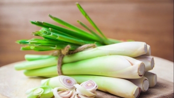 Bài thuốc chữa bệnh hữu ích từ cây sả