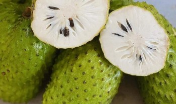 Loại quả bình dân bất ngờ tăng vọt gấp đôi giá sầu riêng, công dụng thần kỳ hay đu trend?