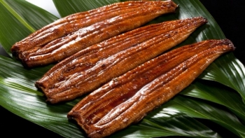 6 loại cá giàu DHA giúp IQ của trẻ tăng vùn vụt