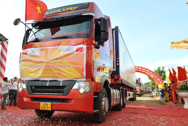 Bài 1: Hợp tác xã cây ăn trái Krông Pắc vì sao bị thu hồi giấy đăng ký chứng nhận? Bài 1: Hợp tác xã cây ăn trái Krông Pắc vì sao bị thu hồi giấy đăng ký chứng nhận?