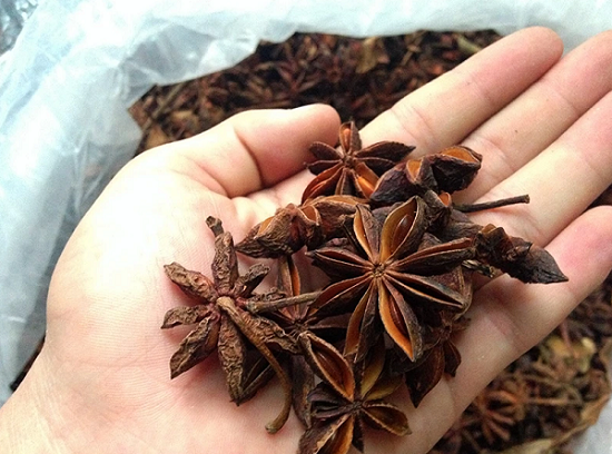 Đại sứ quán UAE tại Hà Nội được Bộ Nông nghiệp và Phát triển nông thôn yêu cầu xin ý kiến các bên liên quan để ra lệnh tạm giữ lô hàng hoa hồi...