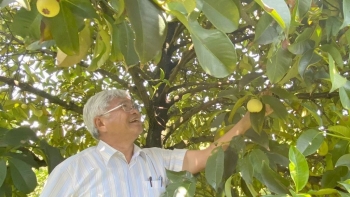 Ít ái ngờ 'vua chuối' ở Long An còn có vườn măng cụt hữu cơ 20ha đẹp như phim trường