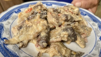 3 người ở Quảng Nam ngộ độc sau khi ăn cá muối ủ chua