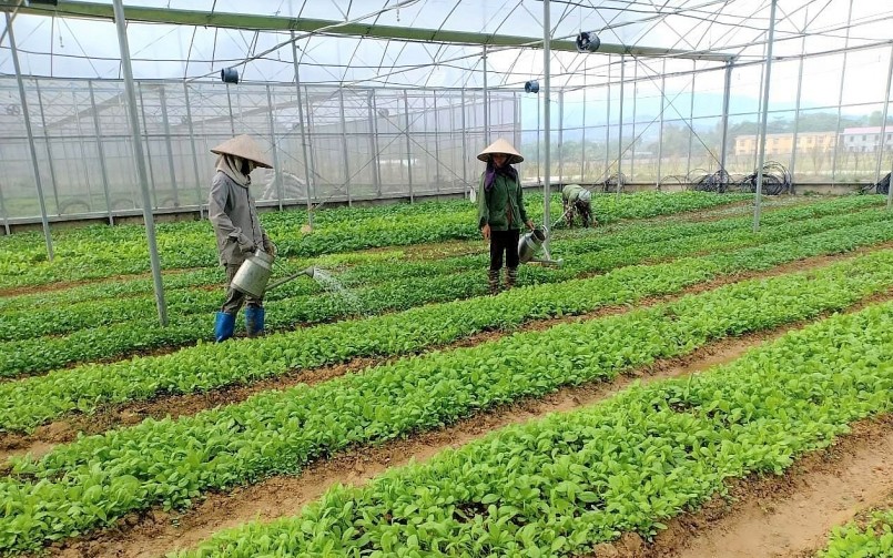 Lương Sơn - Hòa Bình: Nỗ lực hỗ trợ nông dân xây dựng sản phẩm OCOP