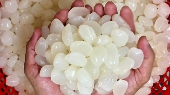 Những thứ “lộc trời” ở Việt Nam, xưa ít người biết ăn, nay thành đặc sản được săn lùng