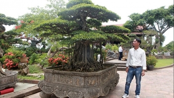 'Chí cây cảnh' sở hữu những siêu phẩm tiền tỷ bất ngờ làm nóng thị trường với vụ giao dịch chục tỷ