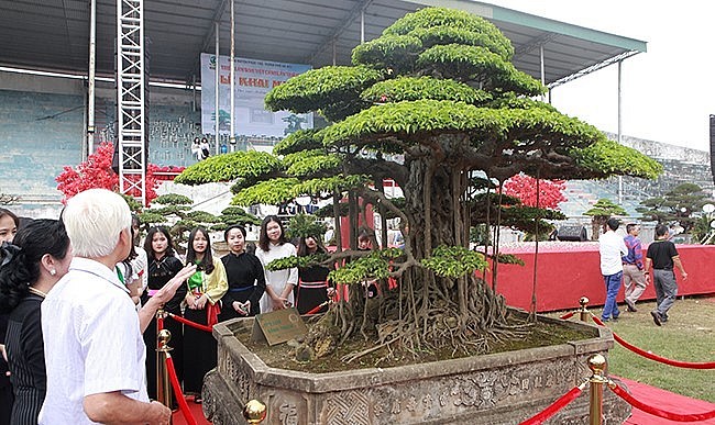 Ông Chí cũng gây dậy sóng với vụ mua cây cảnh 