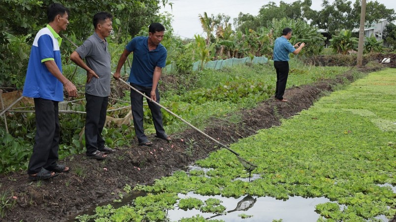 Ông Bùi Văn Tâm đào ao lên luống chuyển đổi sang nuôi ốc bươu đen, mang lại thu nhập mỗi tháng gần 10 triệu đồng.
