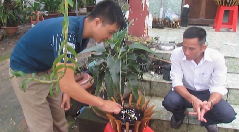 Anh Vũ Đức Kính (trái) đang hướng dẫn cách chọn giống lan rừng quý hiếm.