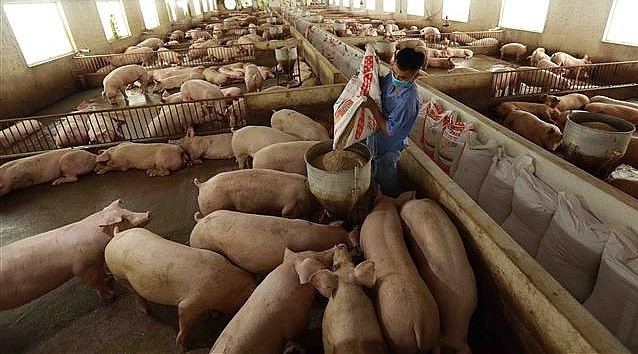 tâm lý lo lắng bao trùm thị trường, đặc biệt khi giá của doanh nghiệp lớn cũng điều chỉnh giảm. tâm lý lo lắng bao trùm thị trường, đặc biệt khi giá của doanh nghiệp lớn cũng điều chỉnh giảm.