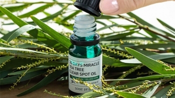 Review 3 serum tràm trà trị mụn an toàn, giá bình dân