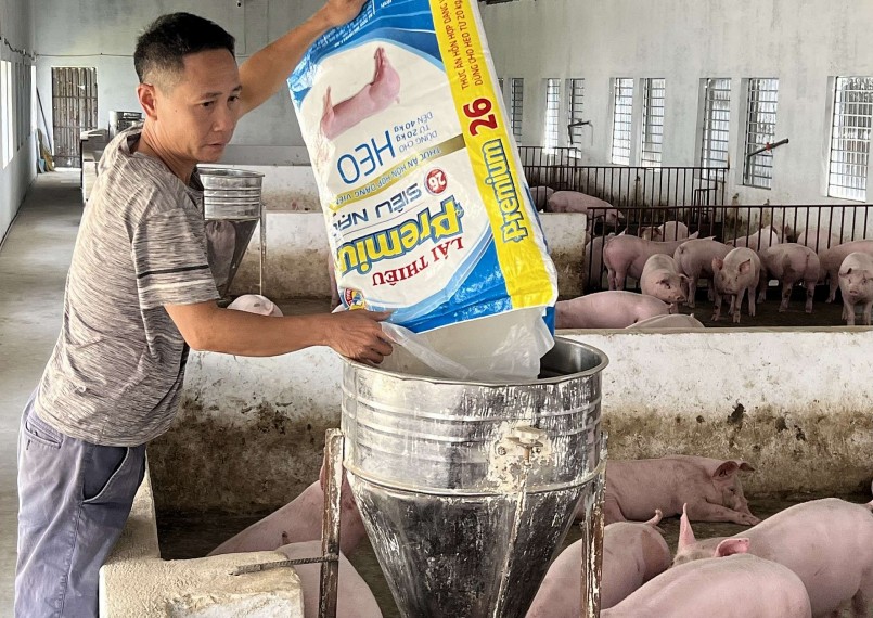 Giá heo hơi hôm nay (31/7) thị trường lặng sóng khi giá heo đi ngang trên cả nước. Giá heo hơi hôm nay (31/7) thị trường lặng sóng khi giá heo đi ngang trên cả nước.