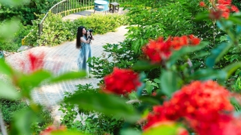 Vườn hoa ngoại thành đẹp cỡ nào mà cư dân thủ đô kháo nhau phải về không thì tiếc lắm?