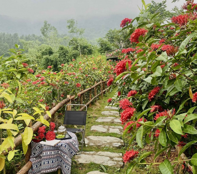 Đường hoa mẫu đơn có thế tựa núi, với cả một vùng núi xanh, mây trắng làm nền...
