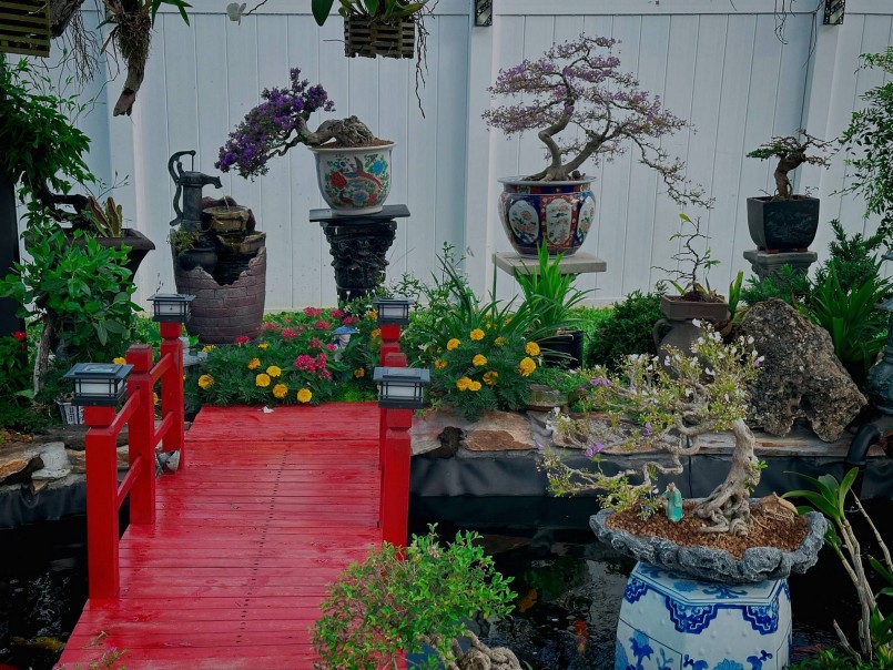 Khu vườn bonsai được thiết kế mang đậm chất Việt Nam.