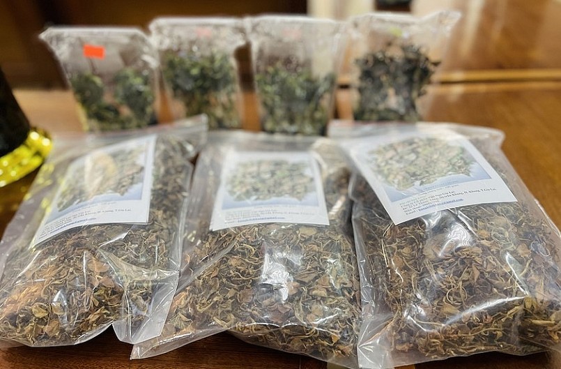 Sản phẩm lan kim tuyến trồng dưới tán rừng sau khi được sấy khô, đóng gói.