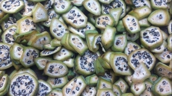 Chuối hột vừa là loại quả quen thuộc vừa là vị thuốc Nam quý