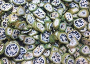 Chuối hột vừa là loại quả quen thuộc vừa là vị thuốc Nam quý