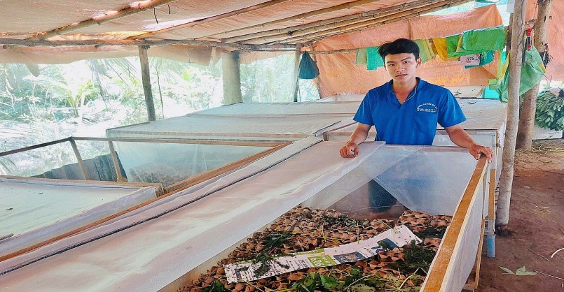 Nghề nuôi dế đã giúp anh Tân có thu nhập 5 triệu đồng/tháng sau khi trừ chi phí.