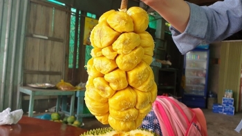 Mít tố nữ và loạt đặc sản Đồng Nai bạn nhất định phải thử một lần trong đời