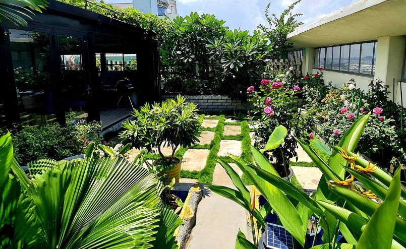 Trong vòng 2 tháng chị Phương Nga đã tạo ra sự bất ngờ khi biến sân thượng thành khu vườn có cây xanh và hoa.