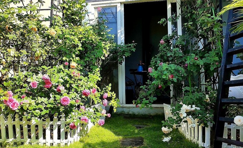 Khu vườn sân thượng có cả cây xanh và hoa.