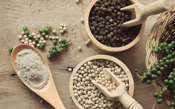 Thủ tướng chỉ đạo hỗ trợ các doanh nghiệp xuất khẩu hồ tiêu sang thị trường UAE