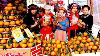 Cam Sành Hàm Yên có gì đặc biệt