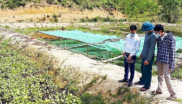 Mô hình nuôi ốc bươu đen của anh Lê Tuấn Anh, thôn Tân Lộc, xã Tân Hương.