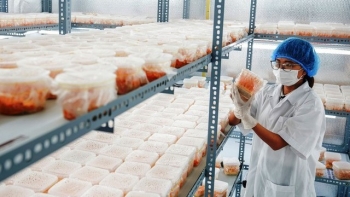 Cử nhân bỏ phố về quê nuôi đông trùng hạ thảo, thu nhập tiền tỷ mỗi năm