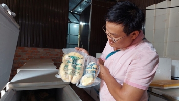 Tính đường xa nâng chất sầu riêng, lần đầu tiên xuất hiện sầu riêng cấp đông đạt chuẩn OCOP