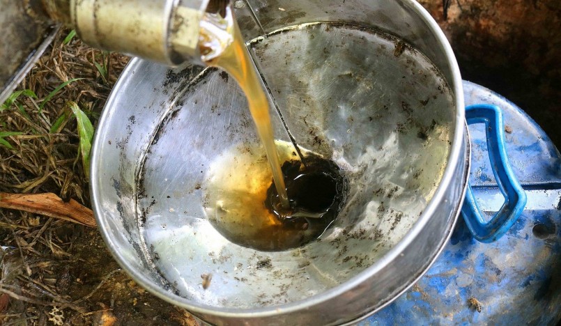 Hiện giá mật ong được thu mua ở các trại ong trên địa bàn Nghệ An chỉ dao động từ 9.000 - 10.000 đồng/kg, thậm chí những loại mật xấu chỉ bán được 7.500 - 8.000 đồng/kg. Ảnh: Huy Thư