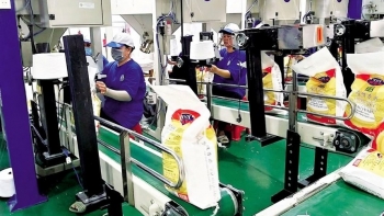 Trình Thủ tướng ban hành Chỉ thị về tăng cường công tác xuất khẩu gạo