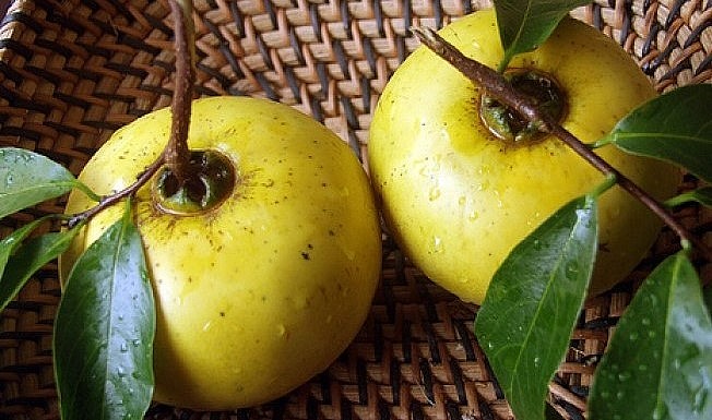 Ăn thị phải biết cách mới thưởng thức vị ngọt của trái cây này.