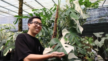 Mê kiểng lá trồng cả vạn cây biến quanh nhà và sân thượng thành khu rừng nhiệt đới