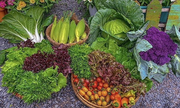 Chỉ cần bước chân ra vườn, chị Hân đã có đầy đủ rau xanh, sạch cho bữa ăn của gia đình.